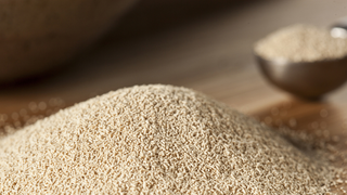 Scientists Have Hacked Yeast to Produce Narcotics